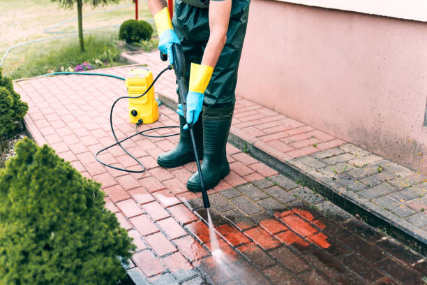 Best Solar Panel Cleaning  in Hartford, IL